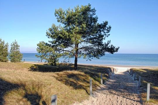 Strandvilla Aegir Mit Ostseeblick Binz Exteriér fotografie